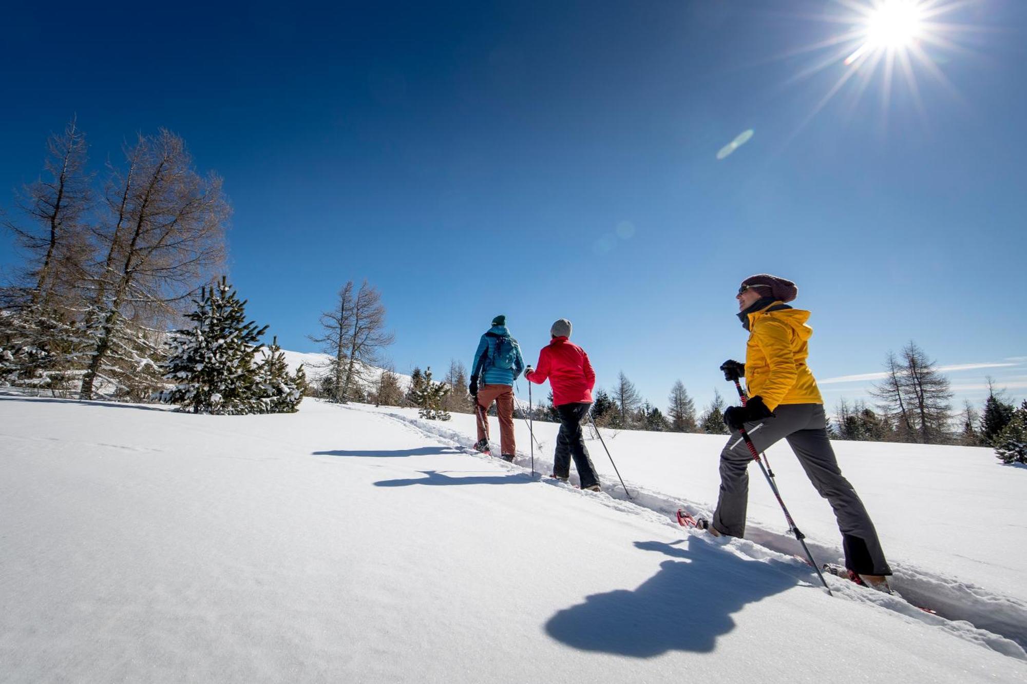 Feriendorf Murau By Alps Resorts Exteriör bild