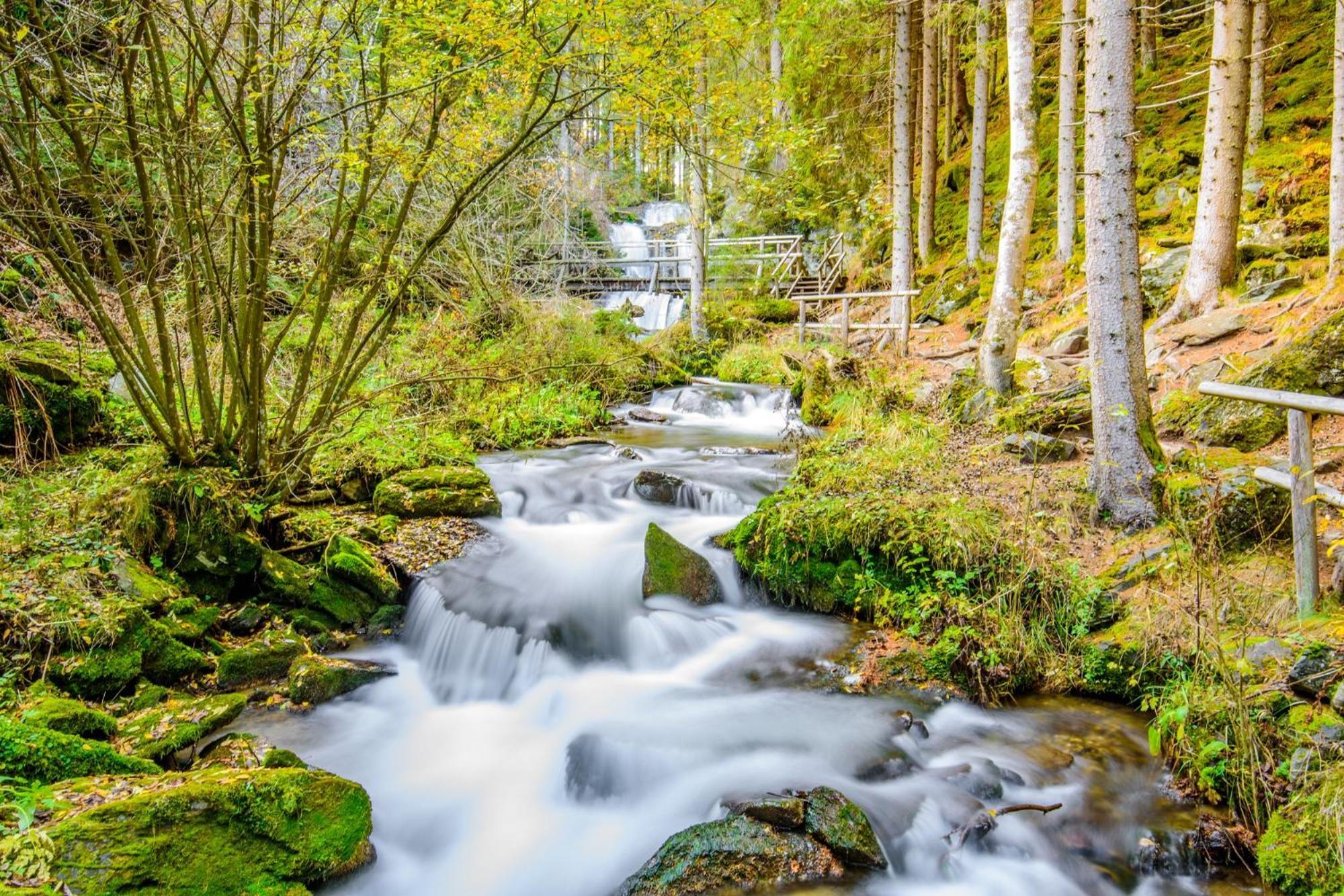 Feriendorf Murau By Alps Resorts Exteriör bild